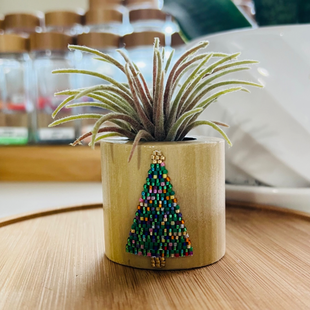 Artificial Air Plant